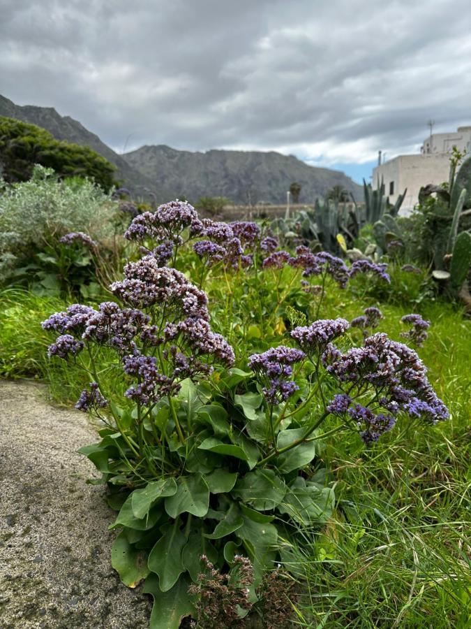 Aventura En Buenavista Del Norte Luaran gambar